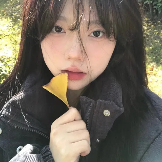 新报仇